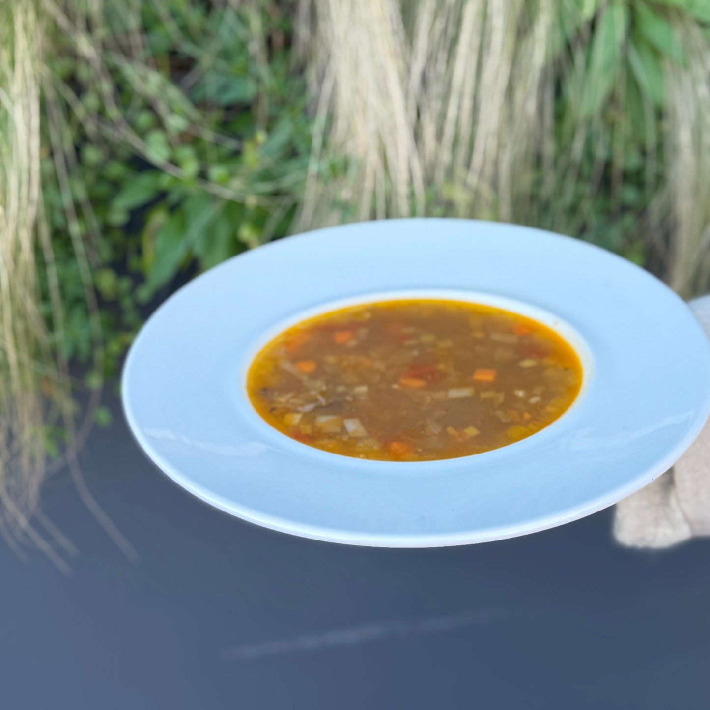 Sopa de Lentilhas e Vitela DIET | refrigerado | 1-2 pax